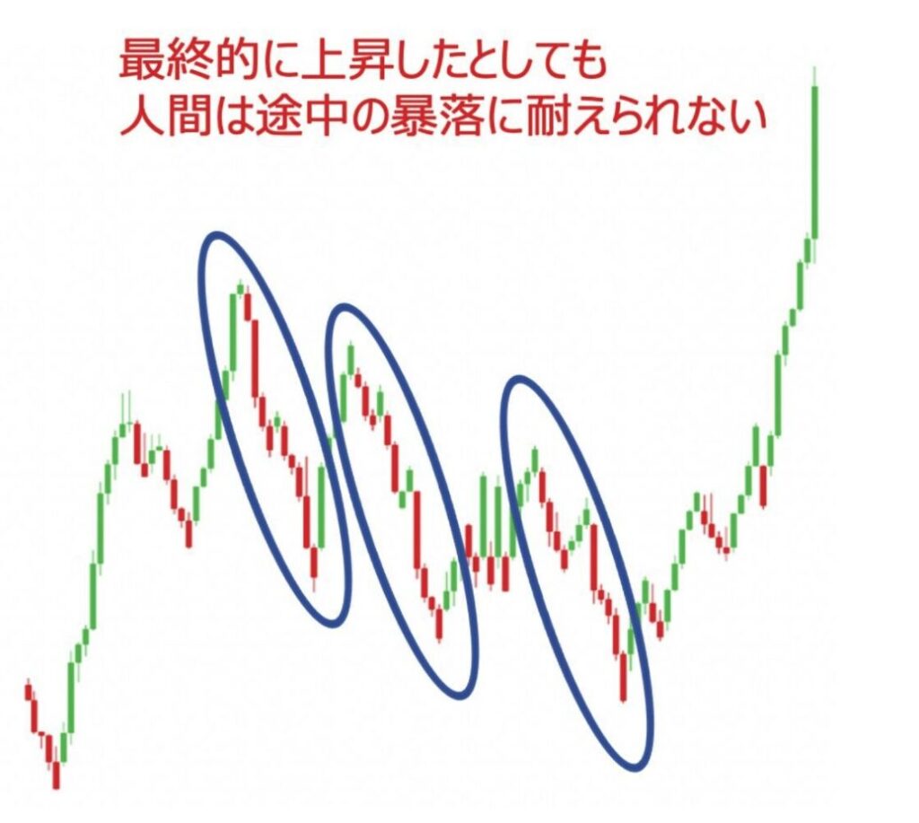 人間は暴落を耐えられない